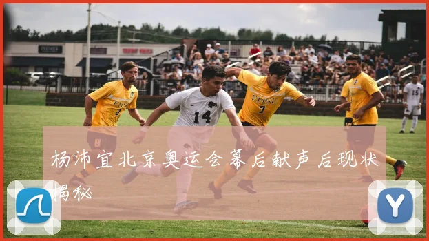 杨沛宜北京奥运会幕后献声后现状揭秘