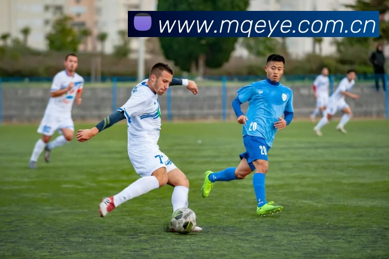 多媒体互动体验